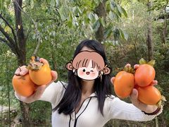 -杨家堂村