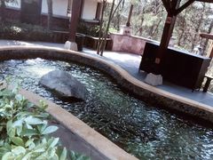 -天目湖涵田半山温泉