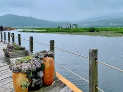 -腾冲北海湿地