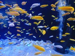 -成都浩海立方海洋公园