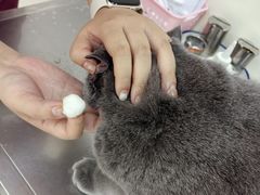 -美联众合动物医院·24h京西诊疗中心