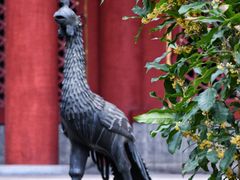 -颐和园