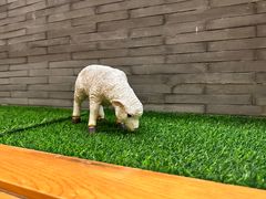 -鸥迪足道(全球连锁 新世界示范店)