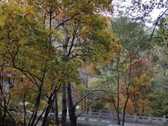 -驼梁风景区
