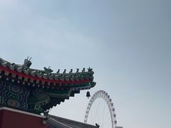 -天津大悲禅院