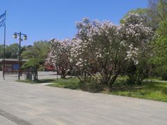 -沈阳市东陵公园