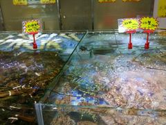 -阿锋鲍鱼酒家美食汇(华安店)
