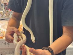 -南宁国际会展中心