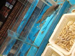 水产区-黄三怪(清河店)