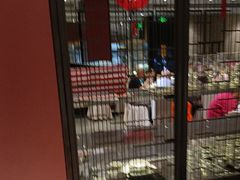 -眉州东坡(民族园店)