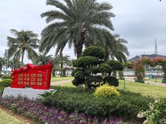 -野狸岛