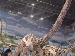 -自贡恐龙博物馆