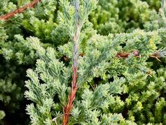 景点-白塘生态植物园