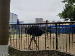 -南宁市动物园
