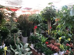 -秦美花卉(天朗·莱茵小城2期店)