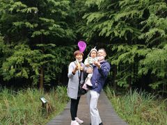 -溱湖国家湿地公园