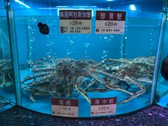 -协成海鲜火锅(海洋花园店)