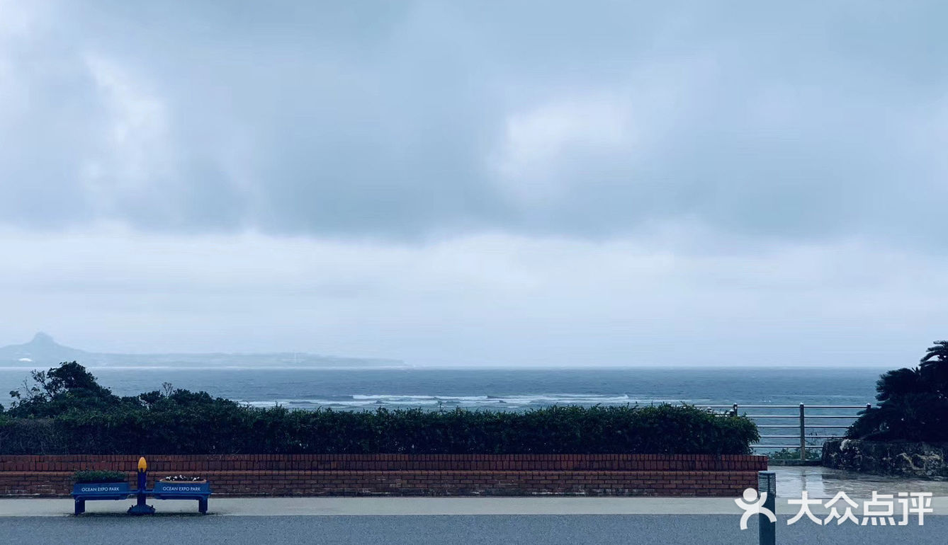 2020年初，那時疫情還沒來時的自由 Okinawa
