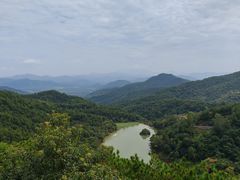 -广州白江湖森林公园