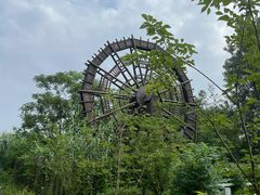 -溱湖国家湿地公园