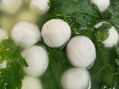 -丁老爷子苏香圆
