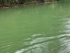 -九曲溪竹筏码头