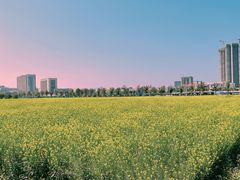 -光明小镇欢乐田园