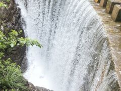 -大奇山国家森林公园
