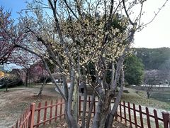 -无锡梅园公园