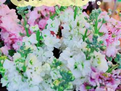 -循礼门鲜花花市(武汉循礼门店)