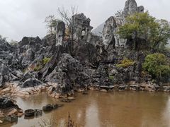 -千岛湖石林