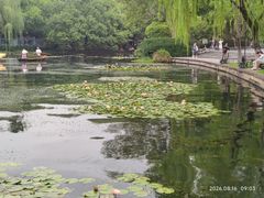 -西湖天地