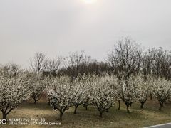 -江苏三台山国家森林公园