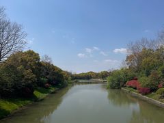 -上海海湾国家森林公园