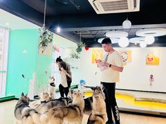 -Husky Go! 哈士奇体验馆·宠物咖啡厅狗咖