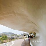 统统免费，补钙，吸氧，拍照