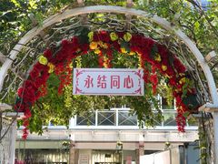 -东风公园