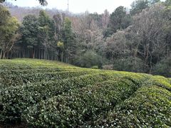 -敬亭山风景名胜区