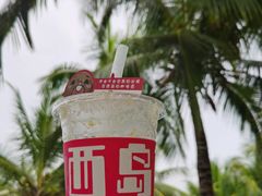 -三亚西岛海洋文化旅游区