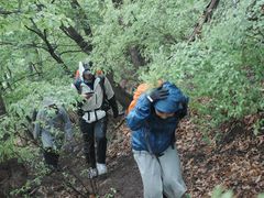 -白草畔自然风景区