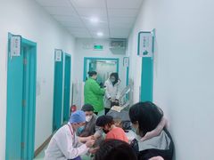 -北京观赏动物医院·24小时大型综合·猫专科·异宠专科