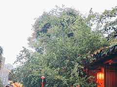 -鲤院·新中式美学·庭院餐厅(夫子庙店)