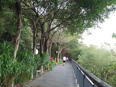 -金鸡山公园