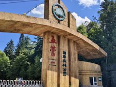 -五营红松林海景区