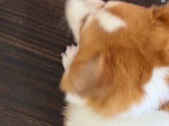 -肥朵食堂(带梦胡同店)