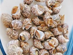 -红月湾海鲜饭店•沙滩海景(双月湾店)