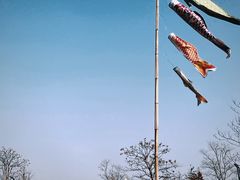 -祝甸砖窑文化馆