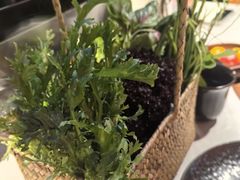 -芸山季·云南山珍菌火锅(人民广场来福士店)