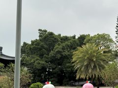 -荔湾湖公园