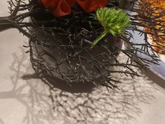 -迦南苑·新派青岛菜·生日纪念日主题餐厅